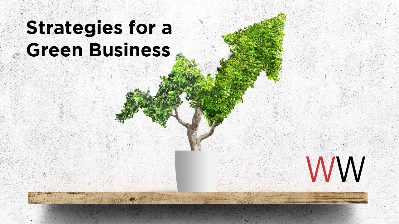 Strategies for a Green Business